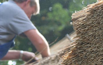 professional The Hague thatchers